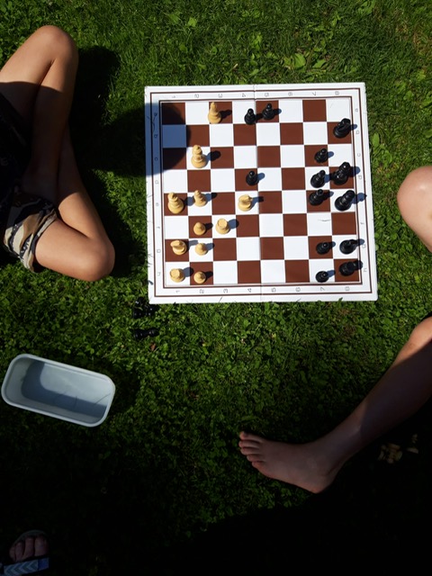 Schach