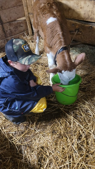 24 Stunden Einblick auf der Alp