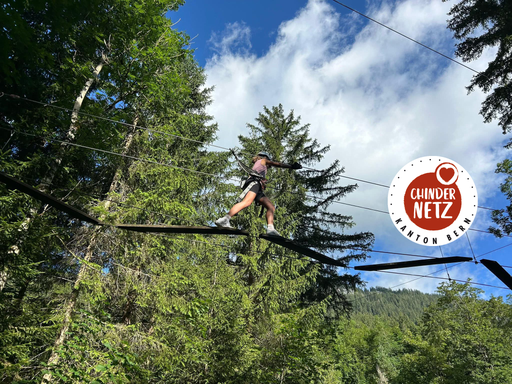Klettern im Seilpark