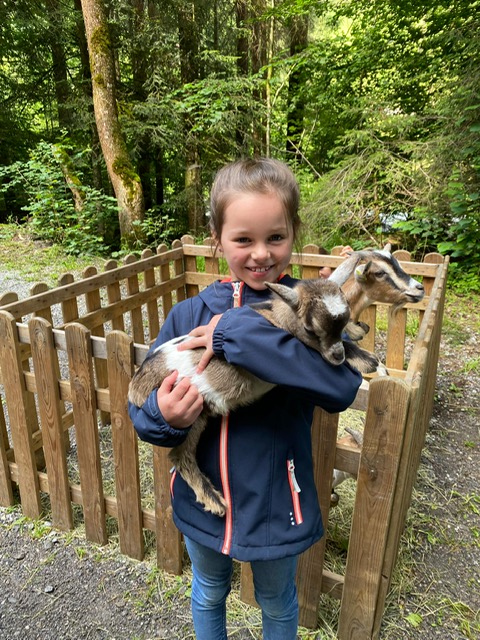 Chüngel, Zwerggeissen...