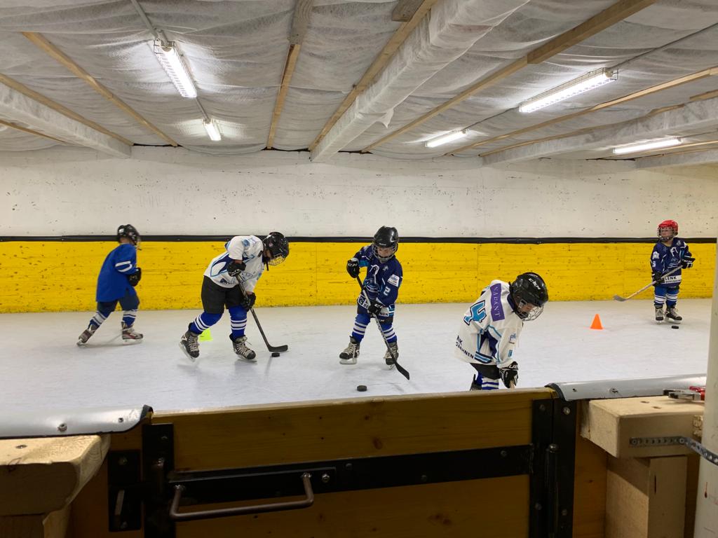 Eishockey auch im Sommer