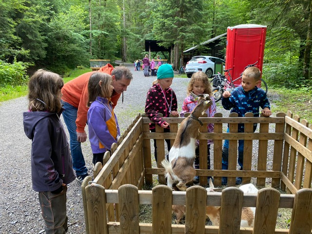 Chüngel, Zwerggeissen....