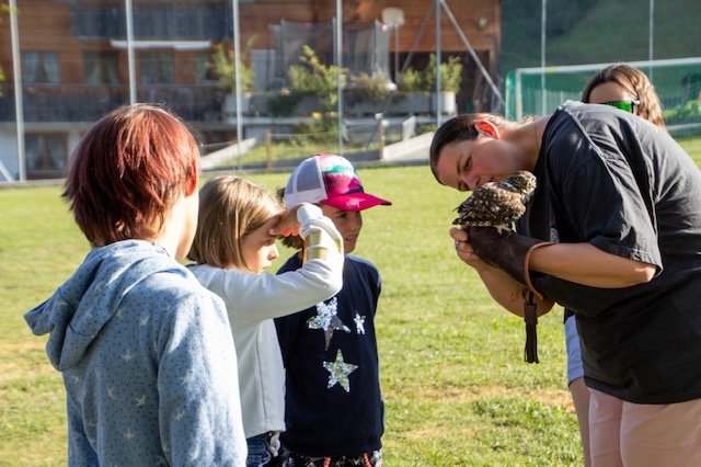 Erlebnis Falknerei und Falkenflüge
