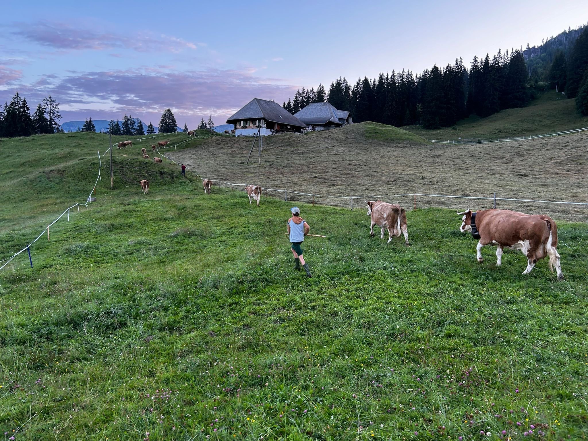 24h Einblick ins Älplerleben