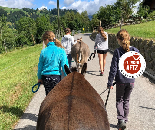 Esel: Das Glück hat lange Ohren