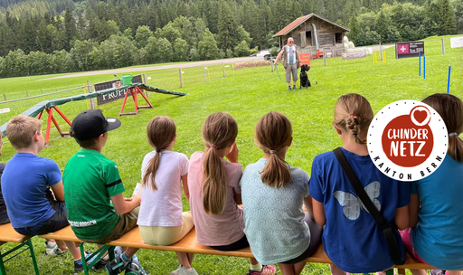 Zusammenspiel zwischen Mensch und Hund